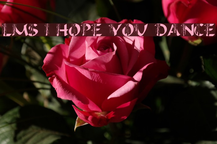 LMS I Hope You Dance Font examples
