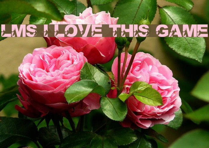 LMS I Love This Game Font examples