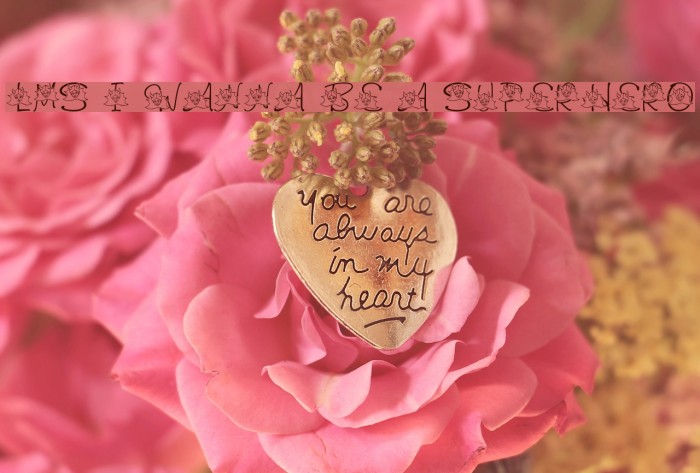 LMS I Wanna Be A Superhero Example 2