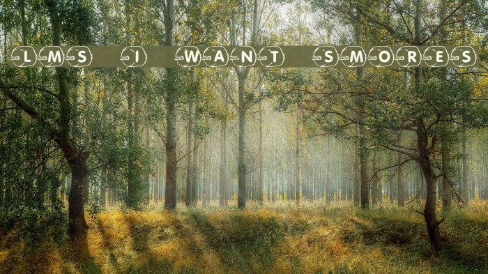 LMS I Want S'Mores Font examples