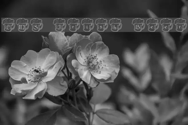 LMS Irish Beer Font examples