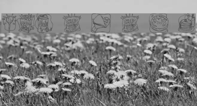 LMS Junk Food Junky Ding Bat Font examples