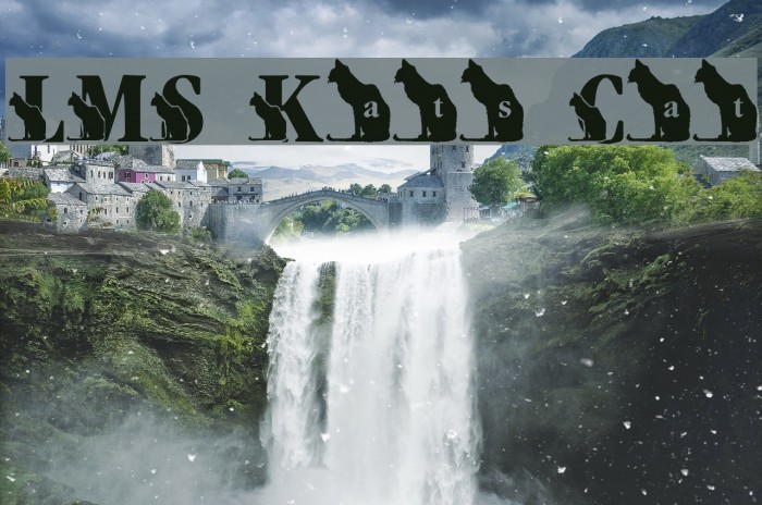 LMS Kat's Cat Example 1