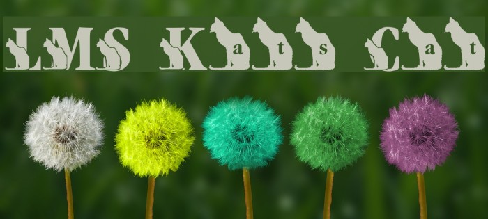 LMS Kat's Cat Example 3