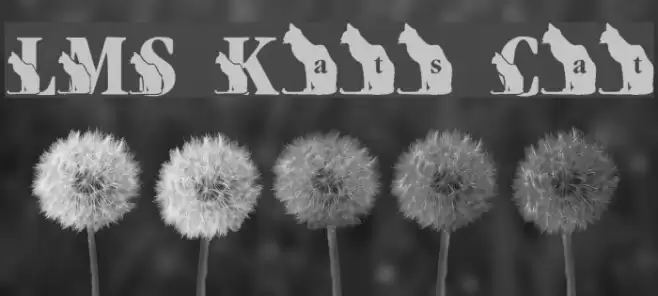 LMS Kat's Cat Font examples