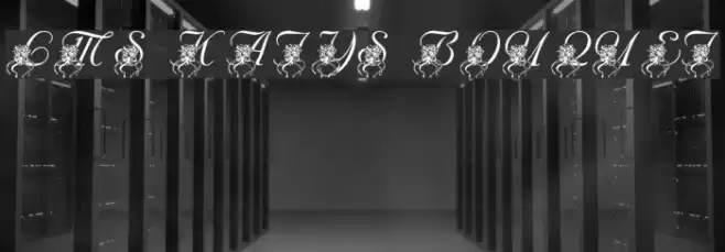 LMS Katy's Bouquet Font examples