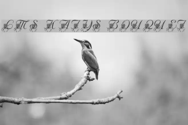 LMS Katy's Bouquet Font examples