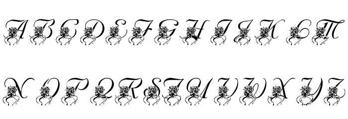 LMS Katy's Bouquet Font LOWERCASE
