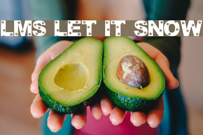 LMS Let It Snow Font examples