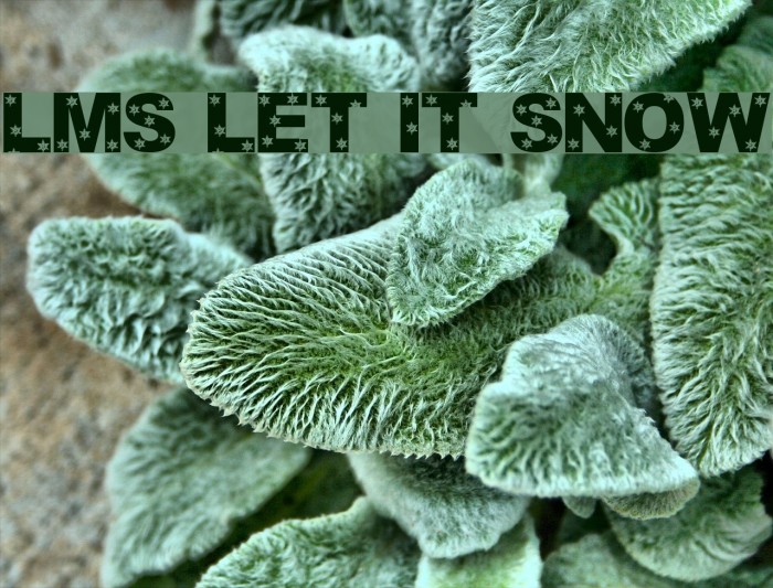 LMS Let It Snow Font examples