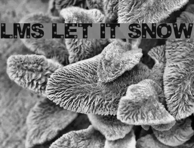 LMS Let It Snow Example 2