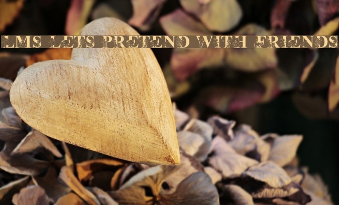 LMS Lets Pretend with Friends Example 3