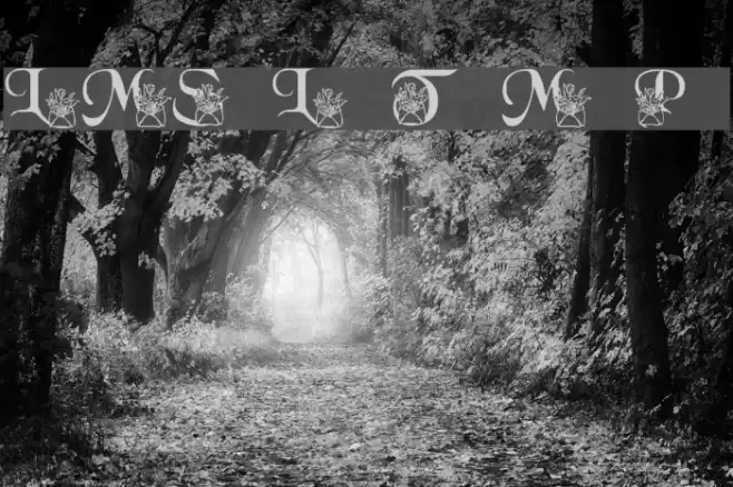 LMS Letter To Mom Part 2 Font examples