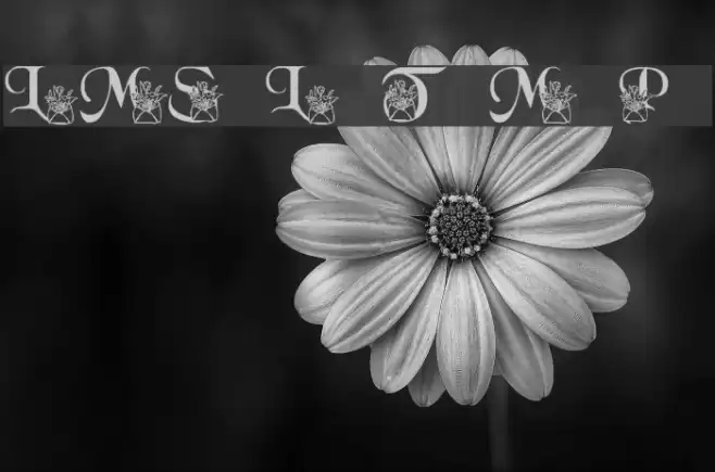 LMS Letter To Mom Part 2 Font examples