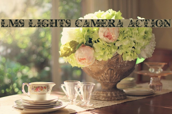 LMS Lights, Camera, Action Font examples