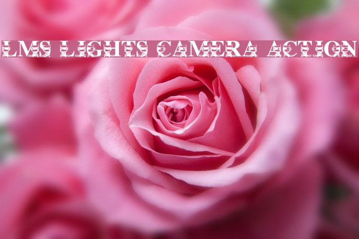 LMS Lights, Camera, Action Font examples