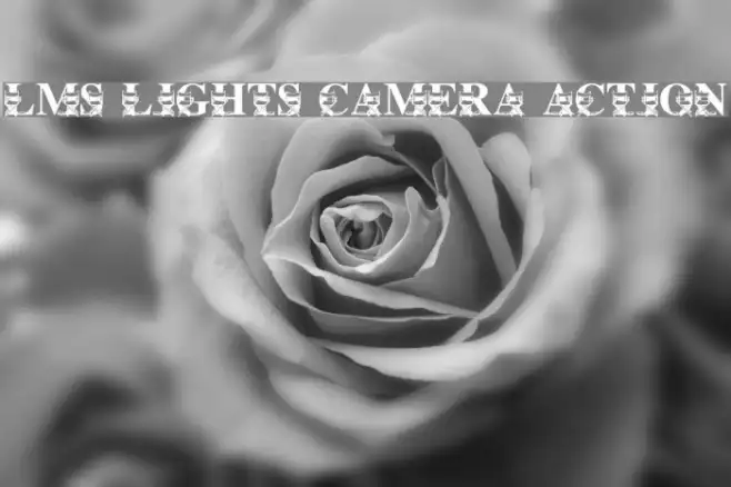 LMS Lights, Camera, Action Example 2