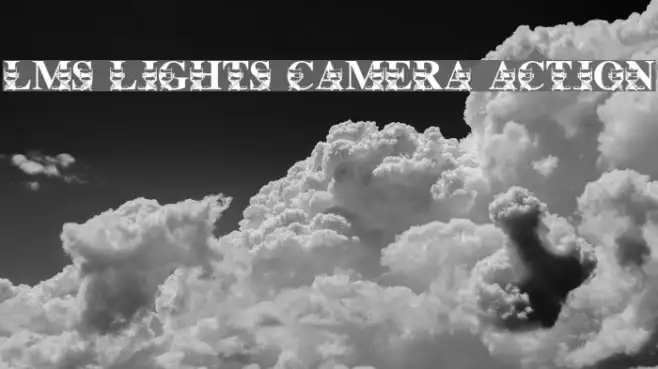 LMS Lights, Camera, Action Example 3