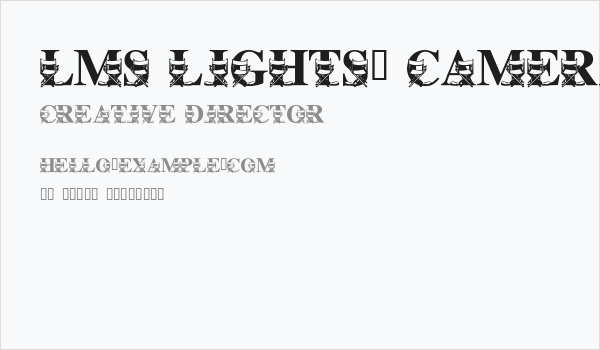 LMS Lights, Camera, Action Business Card