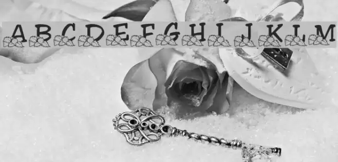 LMS Lindalicious Font examples