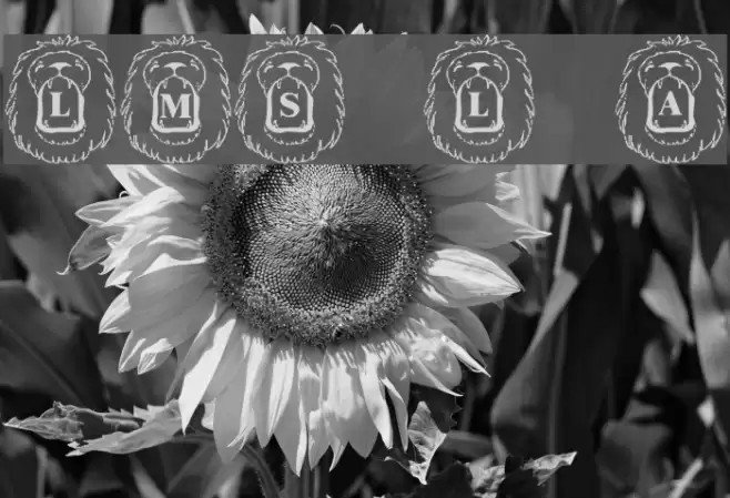 LMS Lion Around Font examples