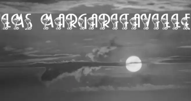 LMS Margaritaville Example 2