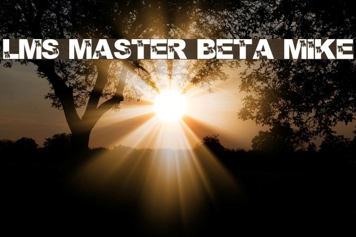 LMS Master Beta Mike Font examples