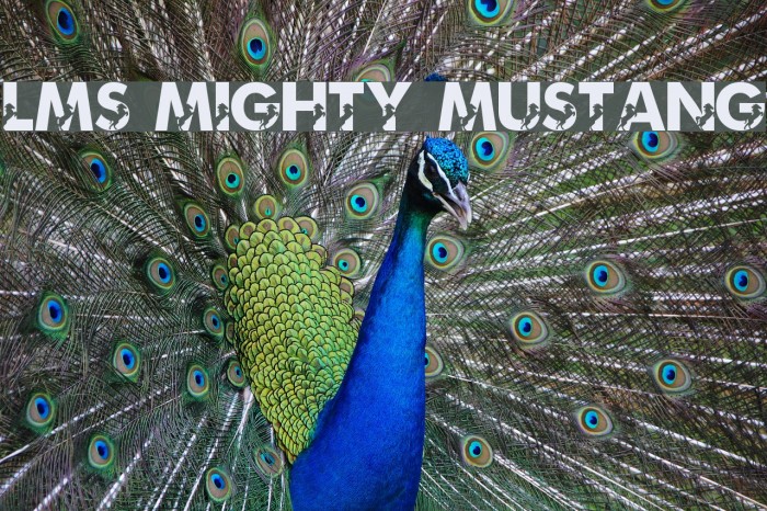 LMS Mighty Mustang Font examples