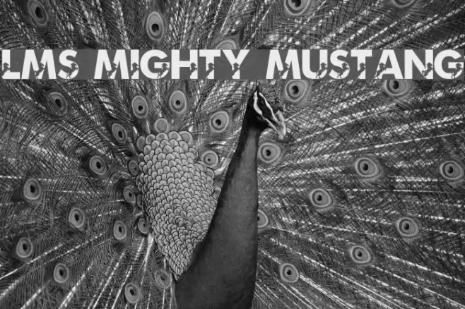 LMS Mighty Mustang Example 1
