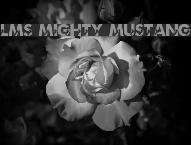 LMS Mighty Mustang Example 2