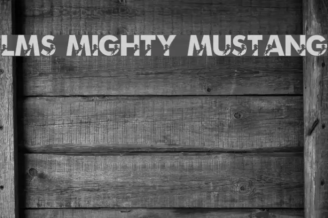 LMS Mighty Mustang Example 3