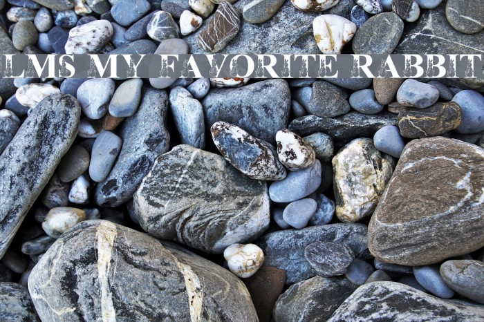 LMS My Favorite Rabbit Font examples