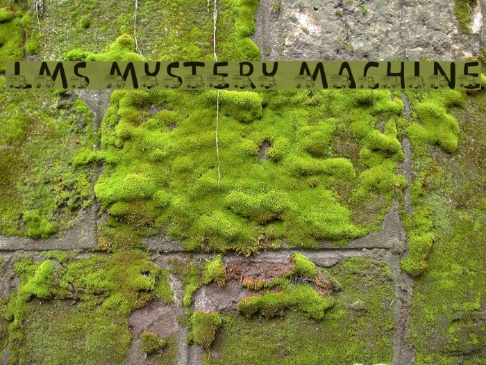 LMS Mystery Machine Font examples