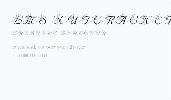 LMS Nutcracker Ballet Business Card