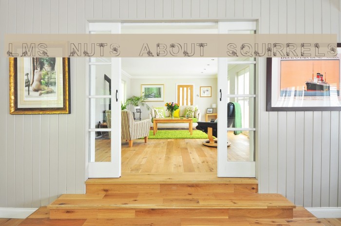 LMS Nuts About Squirrels Font examples