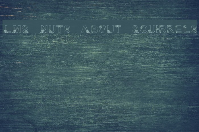 LMS Nuts About Squirrels Font examples