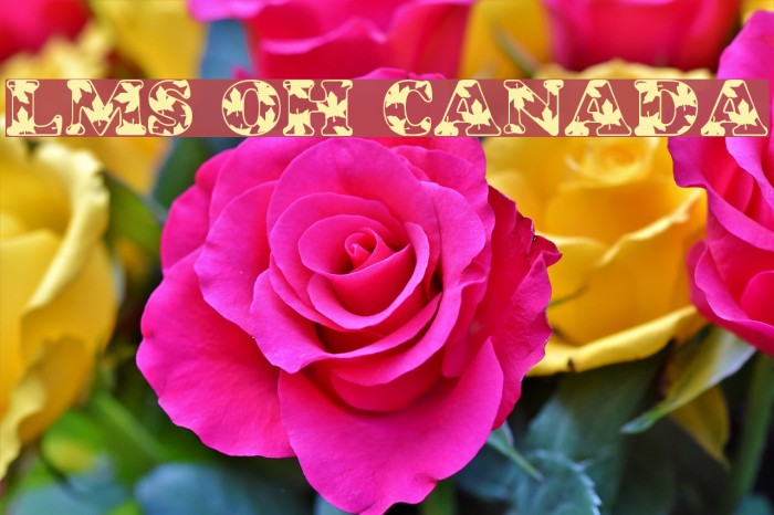 LMS Oh Canada Font examples