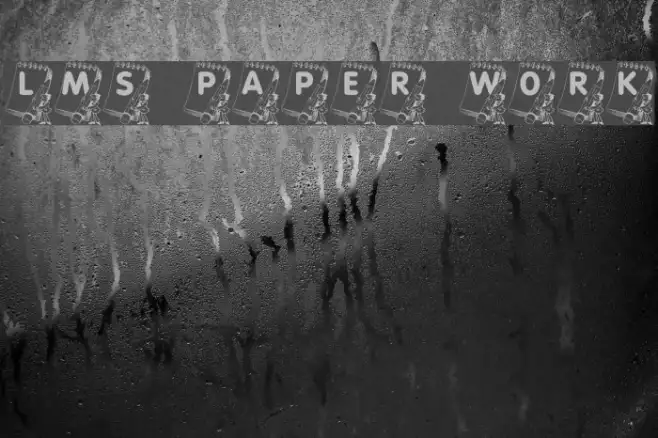 LMS Paper Work Example 1