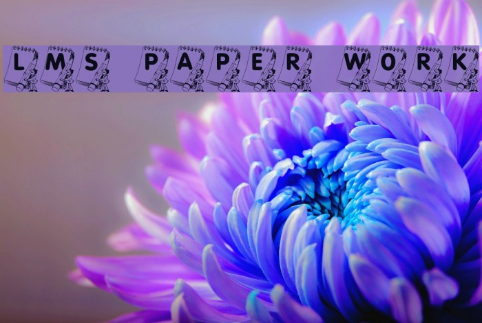 LMS Paper Work Font examples