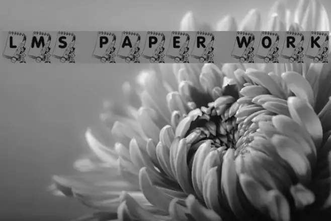 LMS Paper Work Example 3