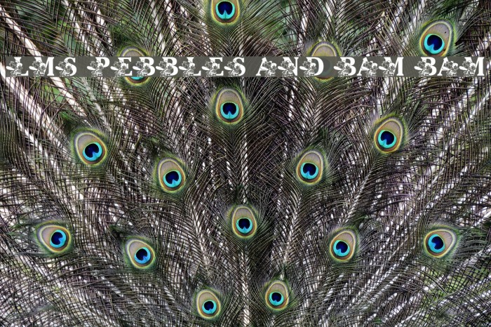 LMS Pebbles and Bam Bam Example 2