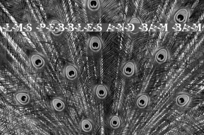 LMS Pebbles and Bam Bam Font examples