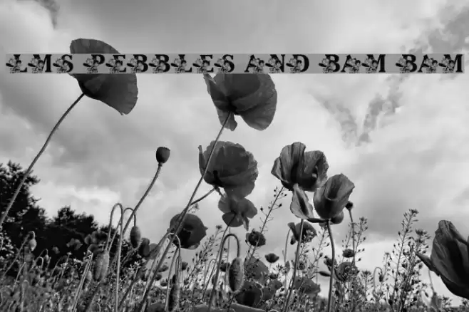 LMS Pebbles and Bam Bam Font examples