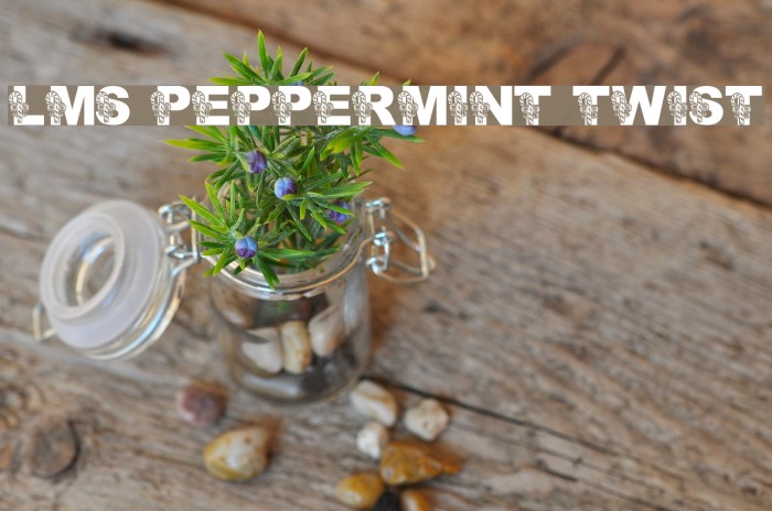 LMS Peppermint Twist Font examples