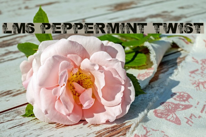 LMS Peppermint Twist Font examples
