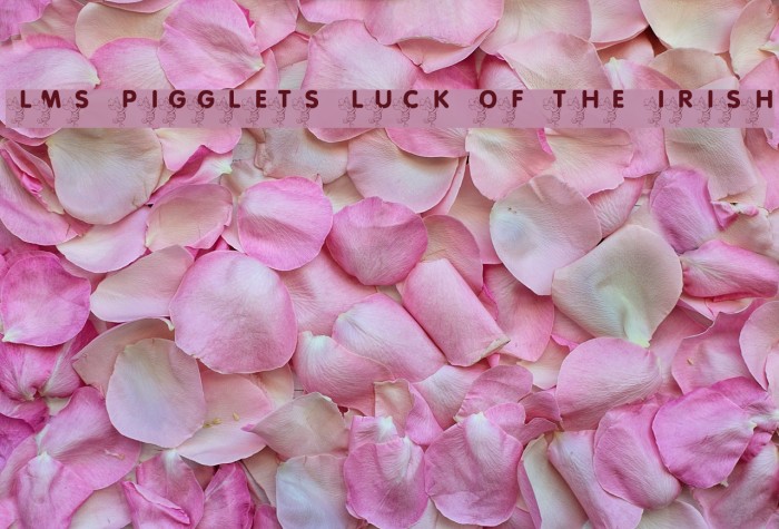 LMS Pigglet's Luck Of The Irish Font examples