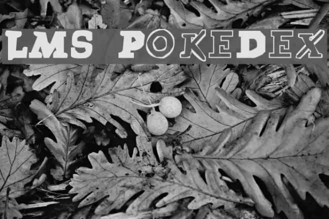 LMS PokeDex Example 1