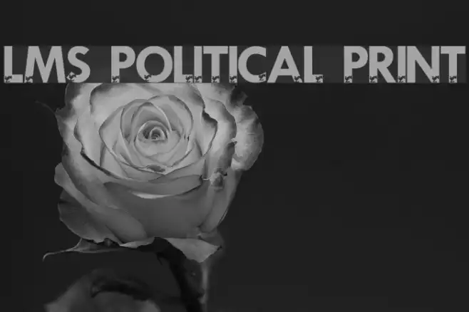 LMS Political Print Example 3