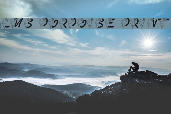 LMS Porpoise Print Font examples