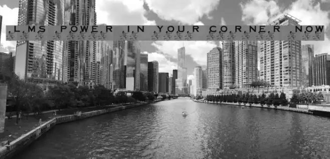 LMS Power In Your Corner Now Example 2